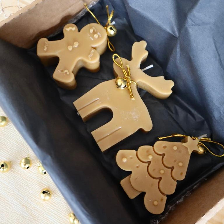 Christmas gift box • Alce