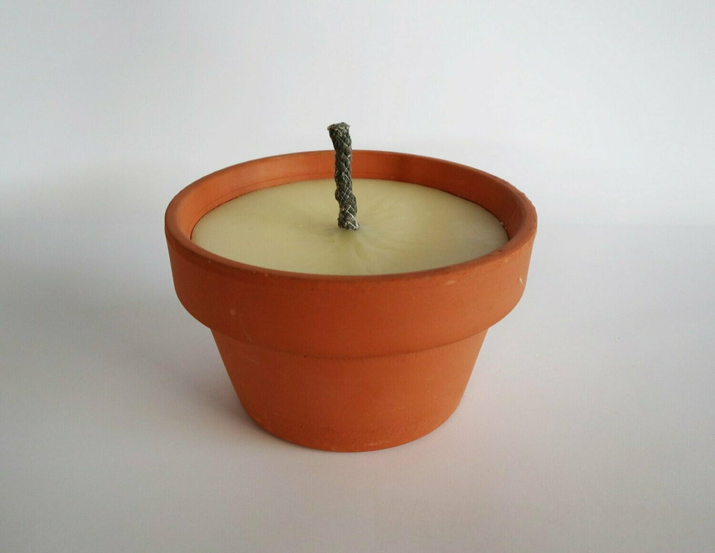 Maceta exterior antimosquitos