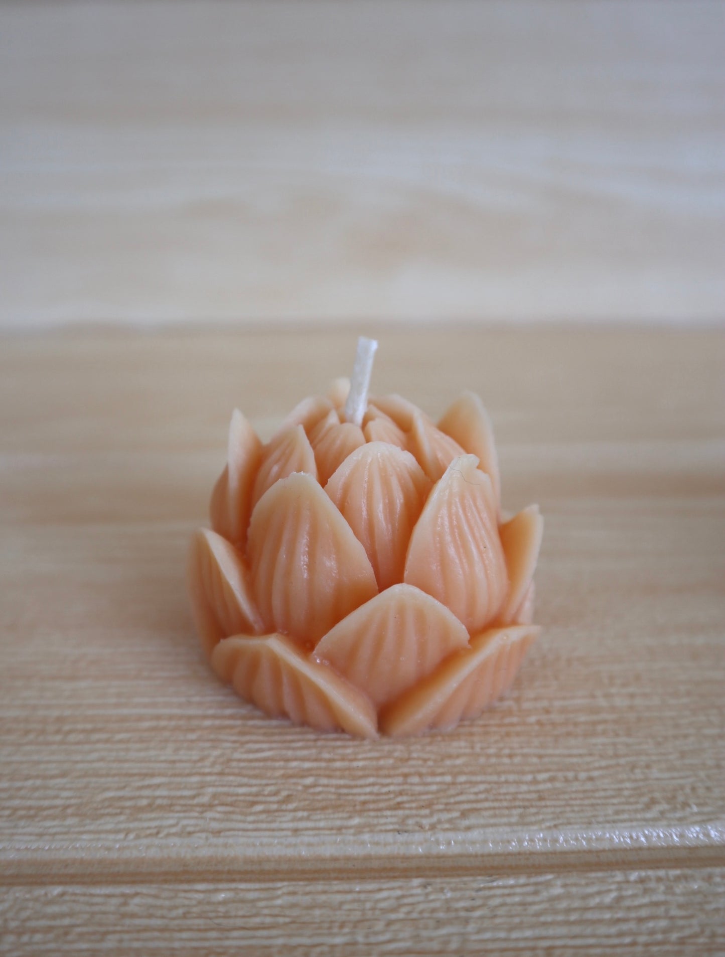 Flor de loto